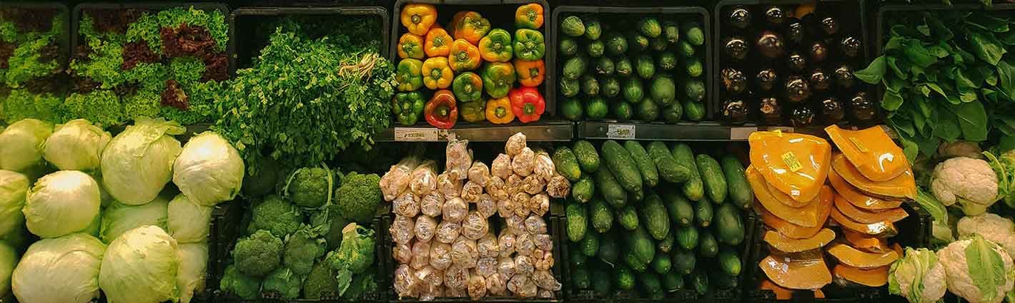 gravitygrid.online Banner